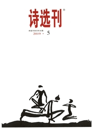 <b style='color:red'>诗选</b>刊