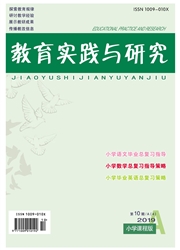 <b style='color:red'>教育</b><b style='color:red'>实践</b>与研究：小学版（A）