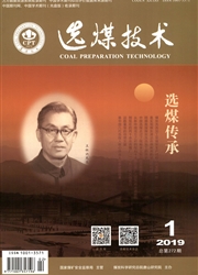 <b style='color:red'>选煤</b>技术