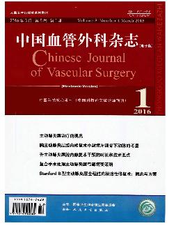 中国血管外科杂志（电子版）