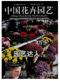 中国花卉园艺