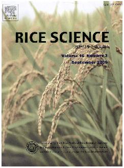 水稻科学：英文版