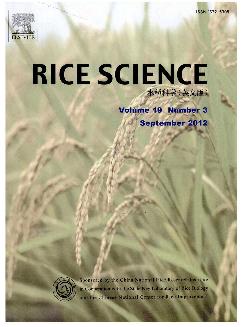 水稻科学：英文版