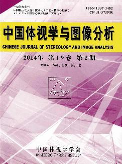 中国体视学与图像分析