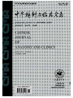 中华解剖与临床杂志