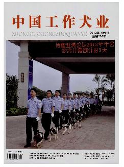 中国工作犬业