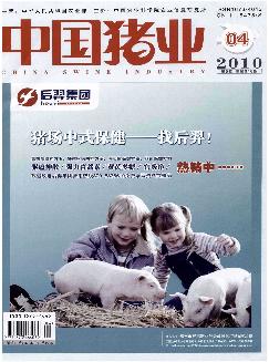 中国猪业