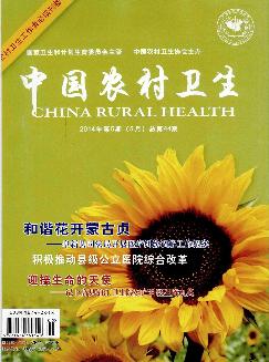 中国农村卫生